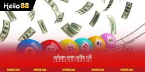 5 Cách Soi Cầu Lô Hiệu Quả Nhất Cho Người Mới Bắt Đầu